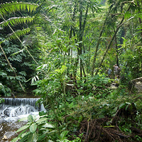 Photo de Bali - Autour de Munduk